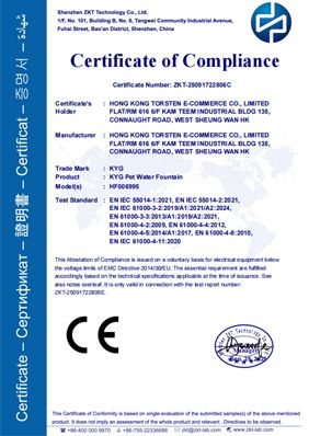 Certificate 6